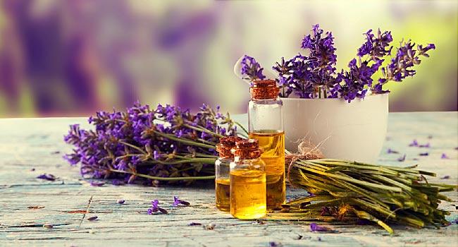 Bulk Natural Essential Oils Manufacturers in India | Buy Online in Wholesale                      – VedaOils.com
