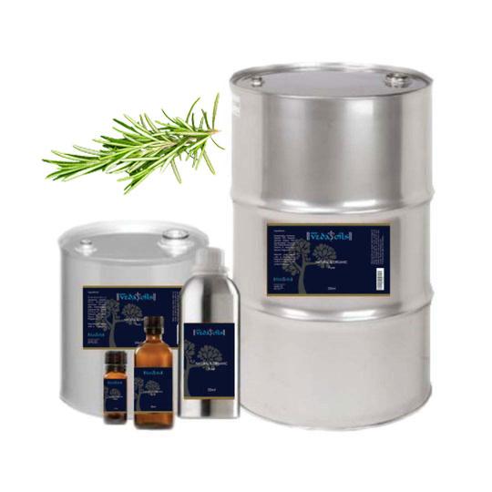 Rosemary Oil | Buy Rosemary Essential Oil Online in India                      – VedaOils.com
