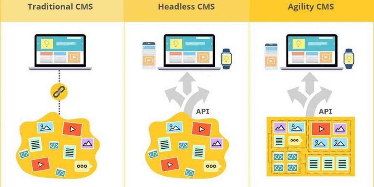 Headless CMS vs CMS co dien trong thiet ke website
