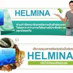 Helmina thai Profile Picture