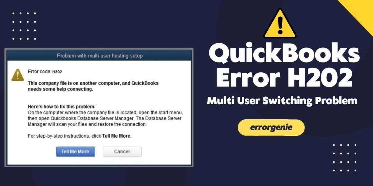 Quickbooks error h202