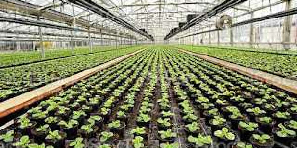 The commercial Greenhouse Market 2028: Growth Opportunities, Segmentation, Competitive Landscape and Regional Analysis