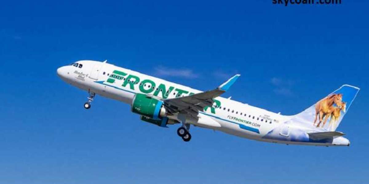 Have a look at the Frontier Airlines unaccompanied minor policy