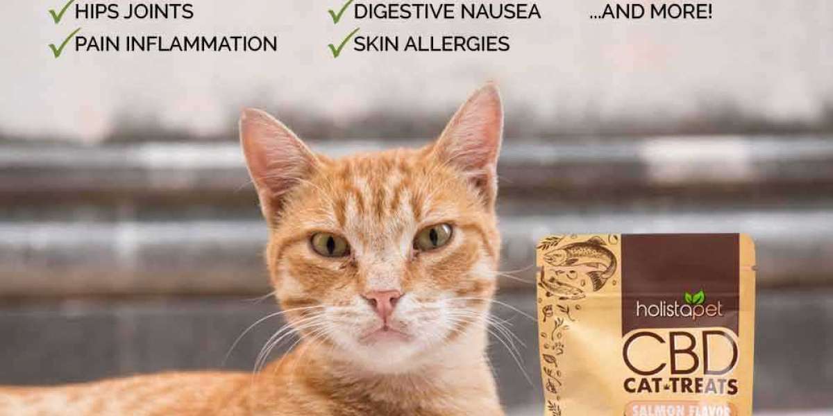 Just Check Out Key Details About CBD Cat Treats