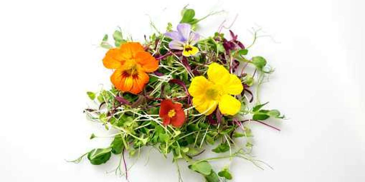 Eating Flowers Market Analysis Demand, Forecast, Business Prospect, Geographical Overview