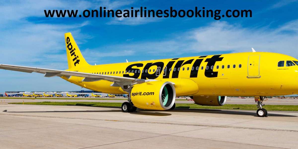 What are the advantages of using Spirit Airlines to travel between many cities?