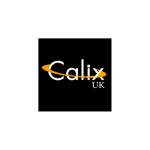 Calix Lighting Profile Picture