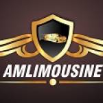 Ami Limousine Profile Picture