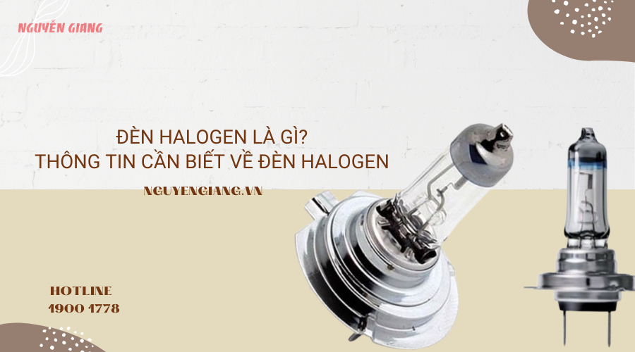 Đèn halogen là gì? Những thông tin bạn cần biết về đèn halogen – Trung Tâm Thiết Bị Điện Nguyễn Giang