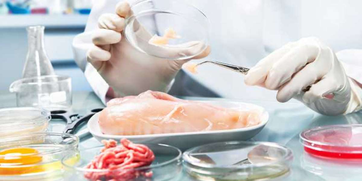 Food Authenticity Testing Market Emerging Technologies, Growth and Forecast By 2028