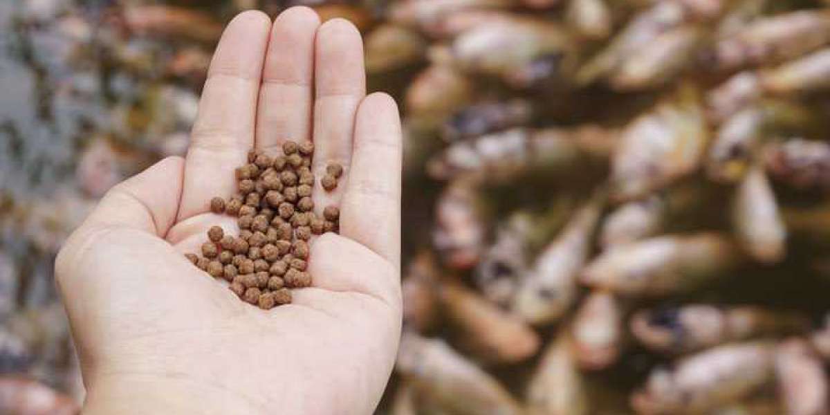 Aquafeed Market Is Projected To Move Ahead at a CAGR of 10.5% by 2022 to 2031