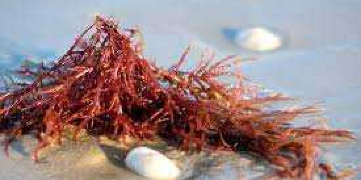 Carrageenan for Kappa Market Company Overview, Growth and Forecast by 2027