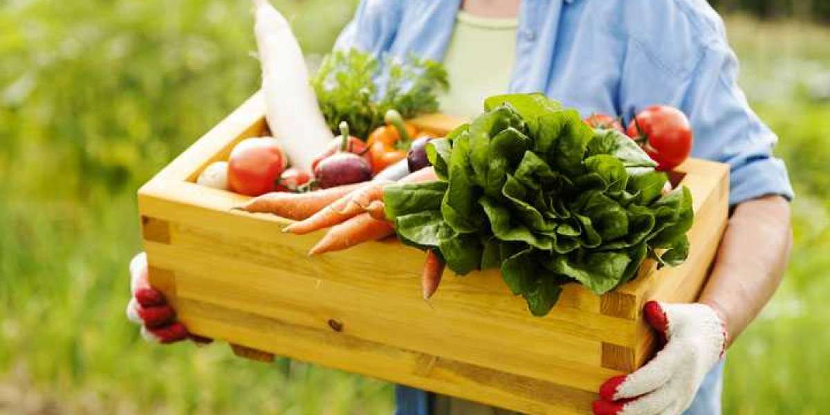 Organic Food Market Garner to Reach $484.0 Billion by 2030 | Current Trends and Industry Analysis