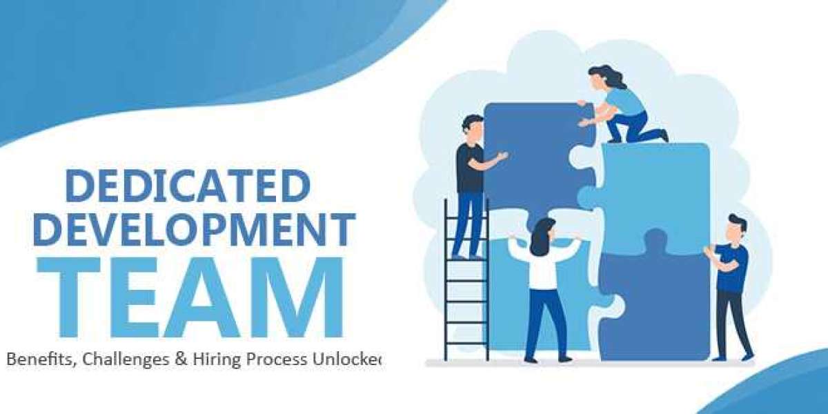 How To Hire Software Development Team For Your Business