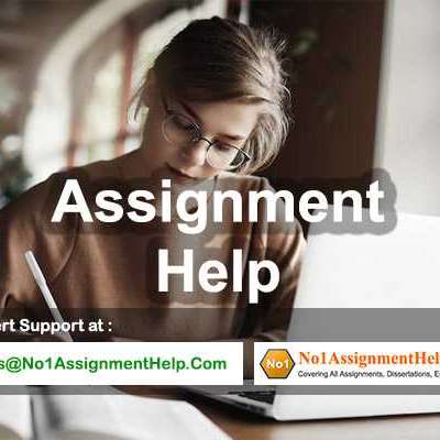 Get An Affordable Assignment Help Services From No1AssignmentHelp.Com Profile Picture