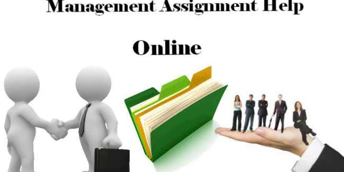 Management Assignment Help In The USA