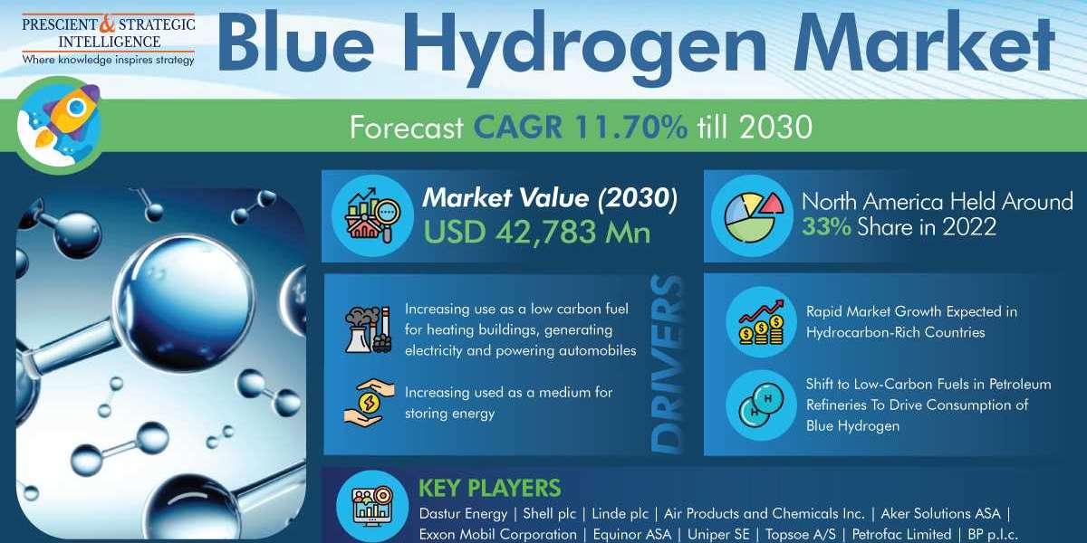 Blue Hydrogen Market Growth, Demand & Opportunities.