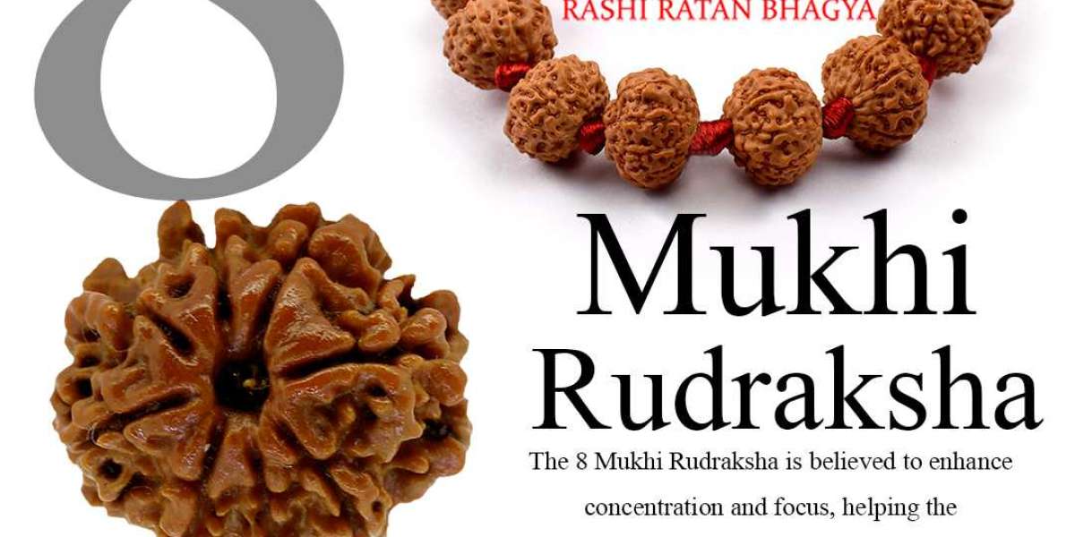 Shop  8 Mukhi Rudraksha Online At best Price