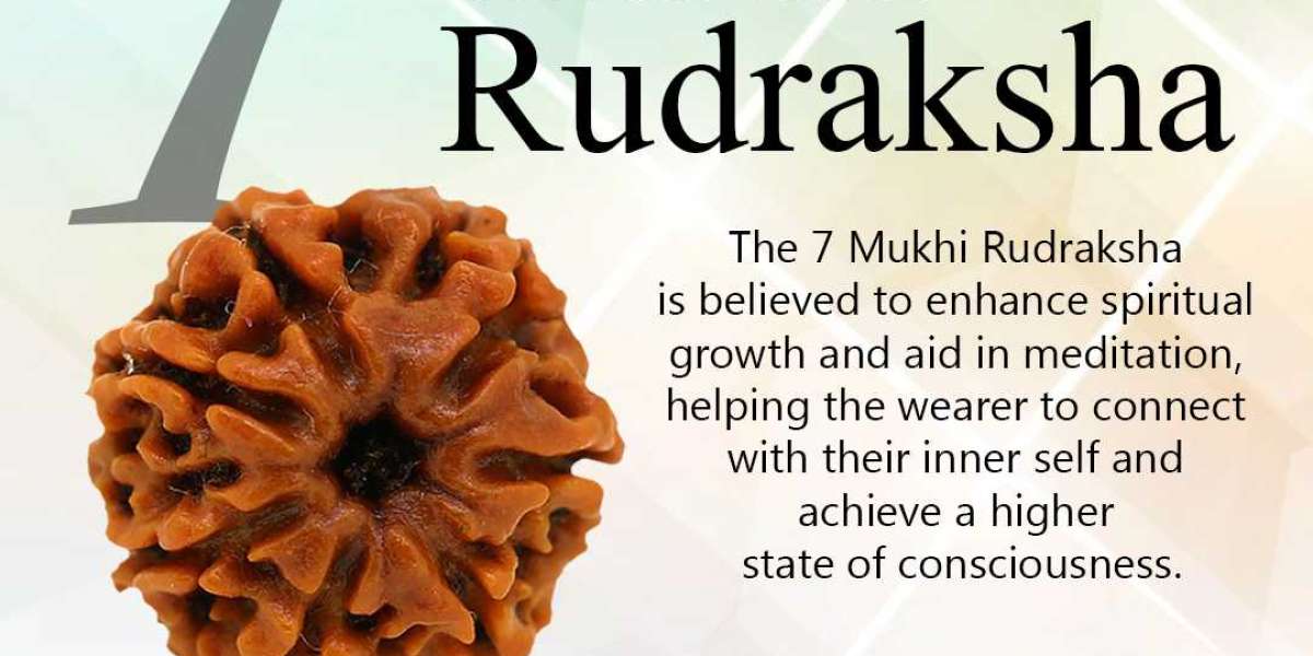 Buy 7 Mukhi Rudraksha Online in India