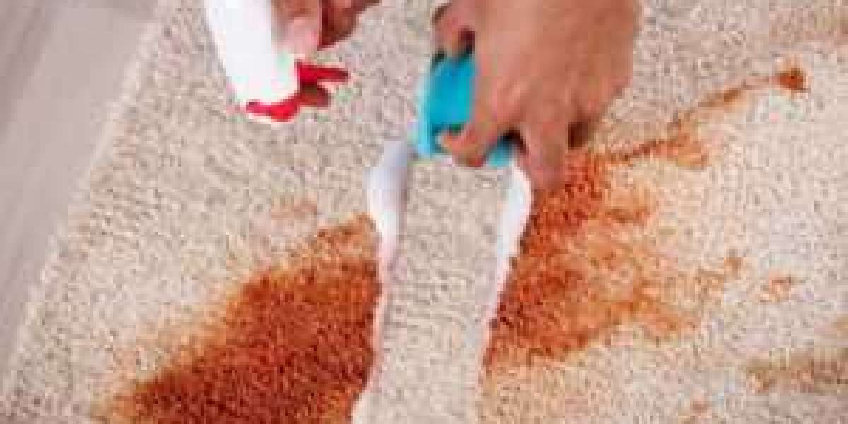 The Top 10 Benefits of Professional Carpet Cleaning in NYC