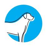 pawsome dog care Profile Picture