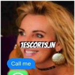 escortsindehradun Profile Picture
