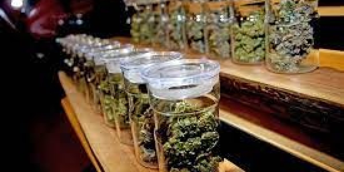 Experience Premium Cannabis Clubs in Madrid | Madrid Weed Club