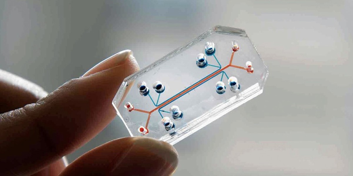 Organ-On-Chip Market is Anticipated to Register 37.8% CAGR through 2031